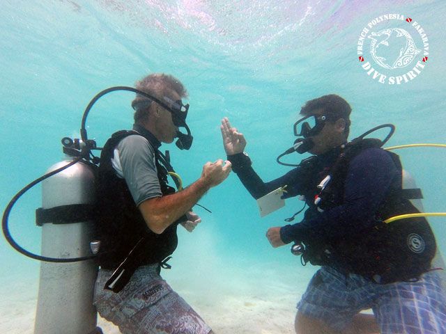 DSF Diving Courses