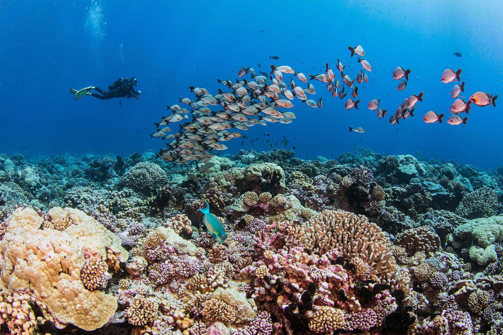 Passe Nord - intérieur