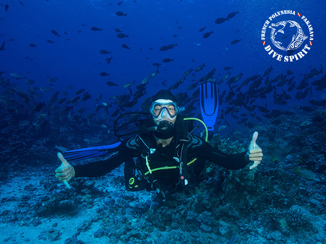 Plong&eacute;es Exploration (Nord)