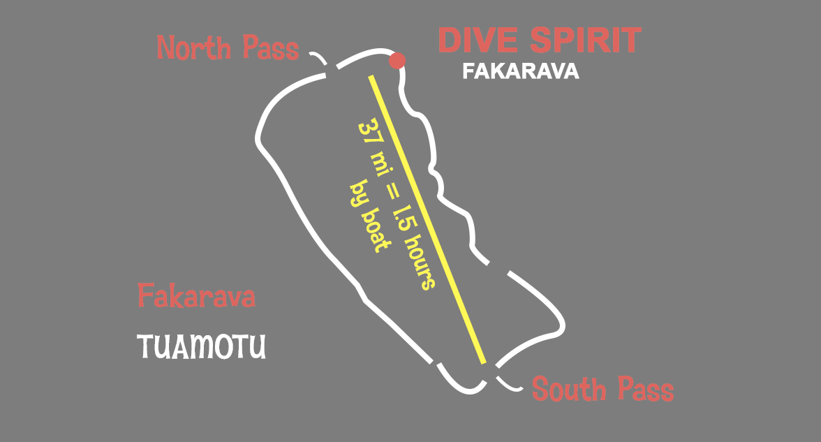 DSF map
